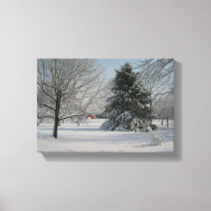 Beauful Winter Scene Canvas Afdruk