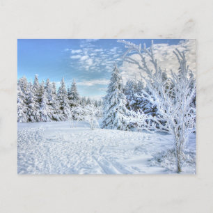 Beauful Winter Snow Forest Scene Briefkaart