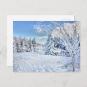 Beauful Winter Snow Forest Scene Briefkaart (Voorkant / Achterkant)