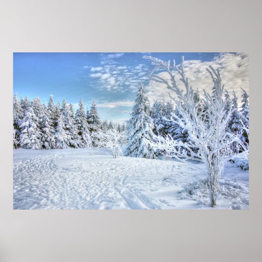Beauful Winter Snow Forest Scene Poster (Voorkant)