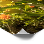 Beauful Yellow Iris Flower Garden Poster (Hoek)