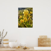 Beauful Yellow Iris Flower Garden Poster (Keuken)