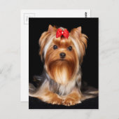 Beauful Yorkshire Terrier Briefkaart (Voorkant / Achterkant)