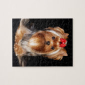 Beauful Yorkshire Terrier Legpuzzel (Horizontaal)