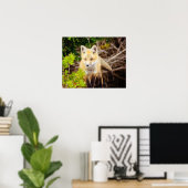 Beauful Young Fox Kit Poster (Thuiskantoor)