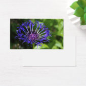 Beauté bleue (Bureau)