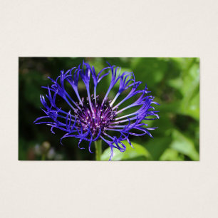 Beauté bleue