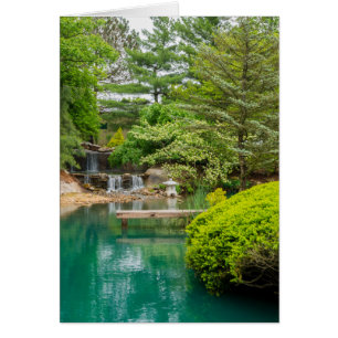 Beauté botanique du printemps