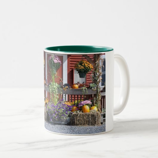 Beauté d'automne de Tanglewood - Mug (Devant droit)