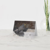 Beauté de bain Note ou Cartes de voeux (Dos)