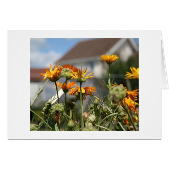 Beauté de décolleté (Devant horizontal)