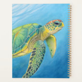 Beauté de la tortue (Dos)