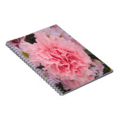 Beauté de l'oeillet rose carnet (Côté Droit)
