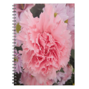 Beauté de l'oeillet rose carnet