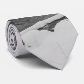 Beauté des neiges Cravate en niveaux de gris de la (Roulé)