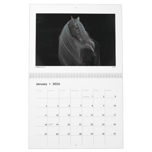 Beauté du calendrier 2015 de cheval (Jan 2026)