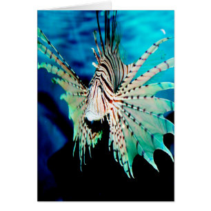Beauté du poisson Lion