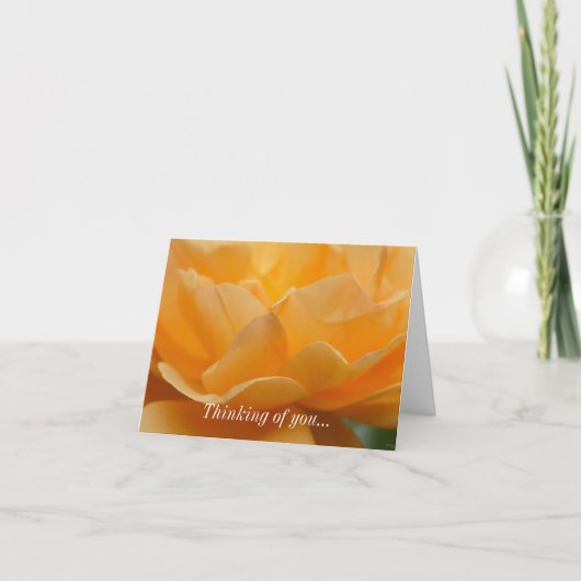 Beauté D'Un Rose Pensant De Vous Carte (Devant)