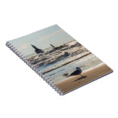 Beauté Et Carnet De Force (Côté Droit)