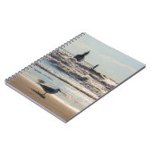 Beauté Et Carnet De Force (Côté gauche)