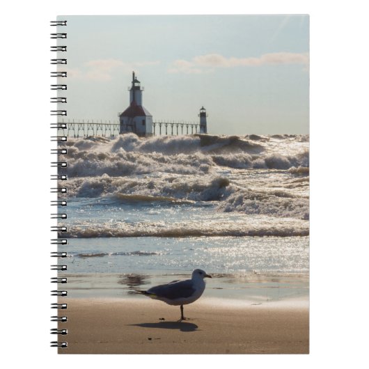 Beauté Et Carnet De Force (Devant)