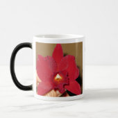 Beauté et la tasse Morphing d'orchidée de bête (Gauche)