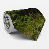 Beauté Flatteuse En Cravate Denali (Roulé)