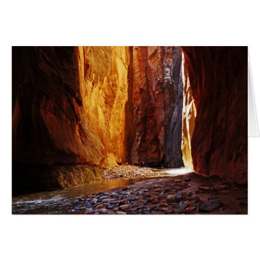 Beauté Le Parc national de la Zion étroite Utah Bl (Devant horizontal)