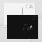 Beauté noire - Carte postale (Devant / Derrière)