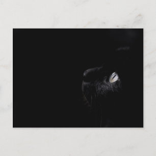 Beauté noire - Carte postale