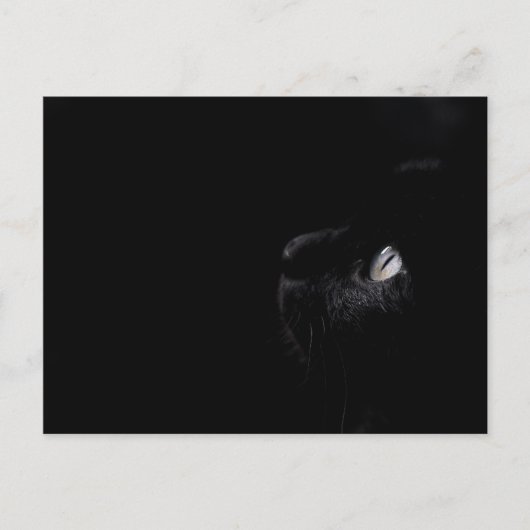 Beauté noire - Carte postale (Devant)
