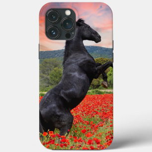 Beauté noire et Coque de champs de pavot-coque iph