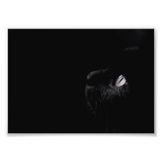 Beauté noire, photo (Devant)