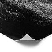 Beauté noire - Poster (Coin)