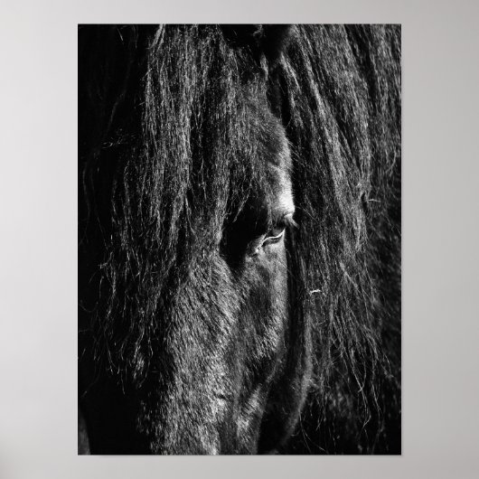 Beauté noire - Poster (Devant)