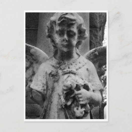 Beauté patinée, carte Armoire (Devant)