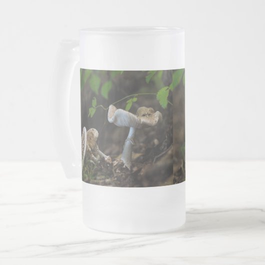 Beauté Poisoneuse Verre Frosted Beer Mug (Devant gauche)