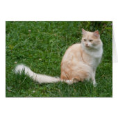 Beauté rouge clair (Devant horizontal)