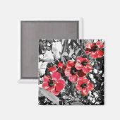 Beauté sélective - Magnet de fleurs d'anémones (Recto/Verso)