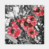 Beauté sélective - Magnet de fleurs d'anémones (Devant)