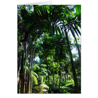 Beauté tropicale
