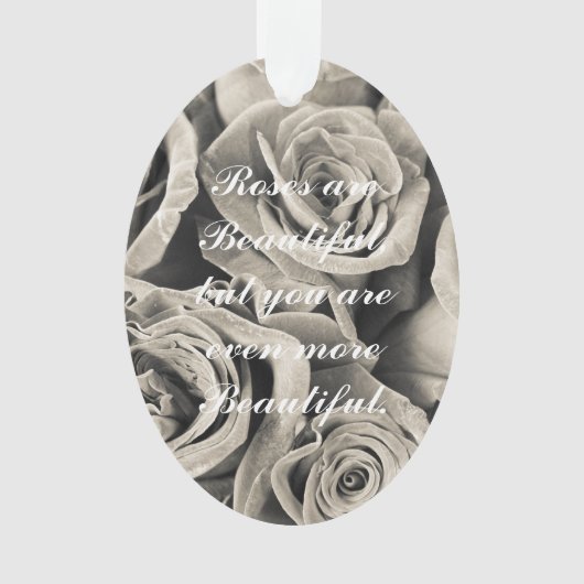 Beauté velours vintage (devant)