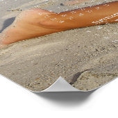 Beautés côtières de Caroline: Affiche de calendrie (Coin)