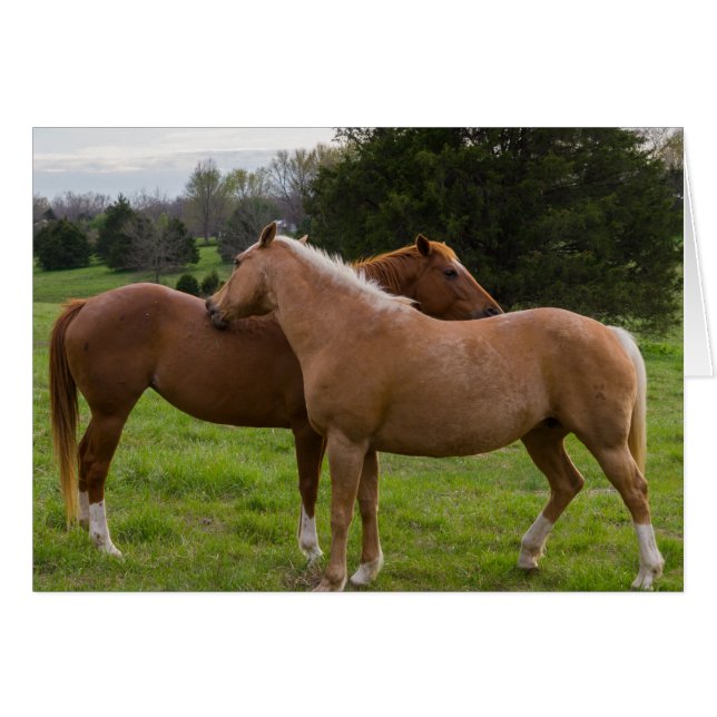 Beautés de bain (Devant Horizontal)