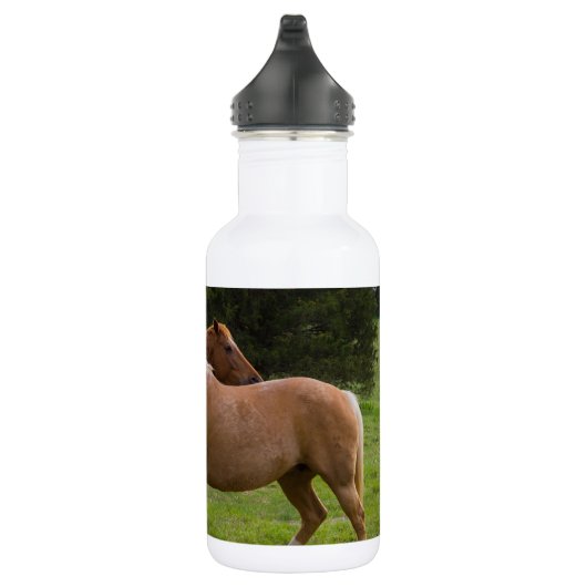 Beautés de bain Bouteille d'eau (Droite)