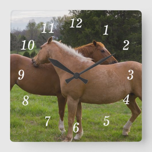 Beautés de bain Horloge murale (Recto)