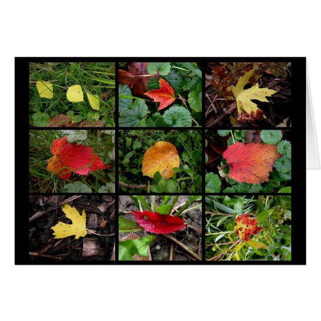 Beautés de l'automne (Devant horizontal)