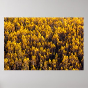 BEAUTIEF PIJNBOT POSTER