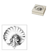BEAUTIEF  SEASHELL 	RUBBERSTEMPEL (Gestempeld)