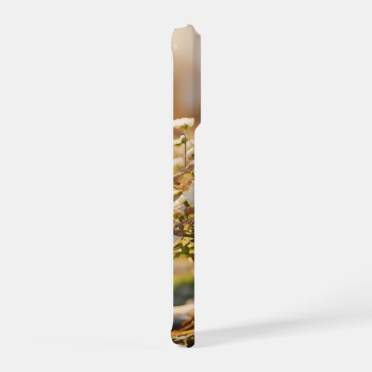 Beautiful (Côté droit)